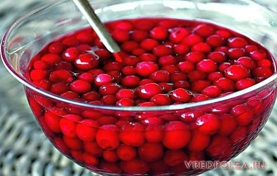 Клюква: полезные лечебные свойства и противопоказания, особенности применения Клюква: полезные лечебные свойства и противопоказания, особенности применения