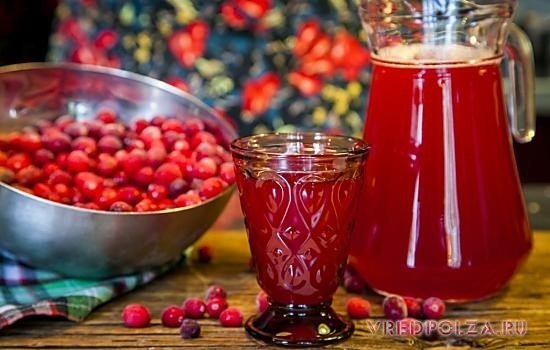 Клюква: полезные лечебные свойства и противопоказания, особенности применения Клюква: полезные лечебные свойства и противопоказания, особенности применения