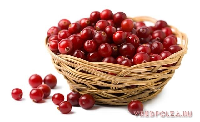Клюква: полезные лечебные свойства и противопоказания, особенности применения Клюква: полезные лечебные свойства и противопоказания, особенности применения