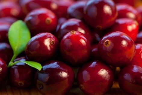 Клюквенный морс для лечения цистита и других почечных заболеваний Клюквенный морс для лечения цистита и других почечных заболеваний