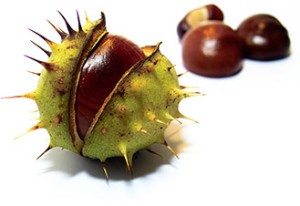 Clean legs – спасение от варикоза или самообман? Clean legs – спасение от варикоза или самообман?