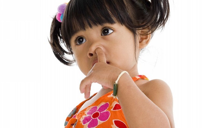 Почему возможно развитие кровотечений из носа? Почему возможно развитие кровотечений из носа?