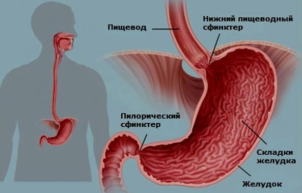 Что такое ксантома желудка? Что такое ксантома желудка?