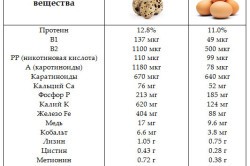 Как использовать при гастрите перепелиные яйца? Как использовать при гастрите перепелиные яйца?
