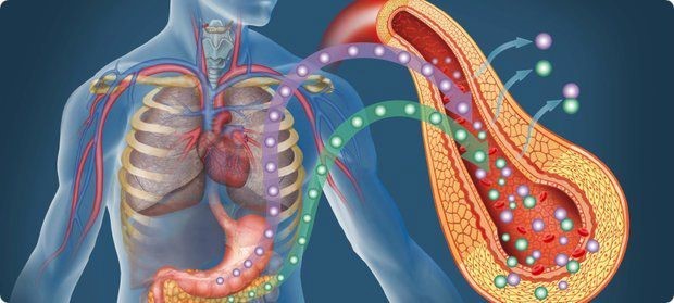 Обострение воспаления поджелудочной железы Обострение воспаления поджелудочной железы