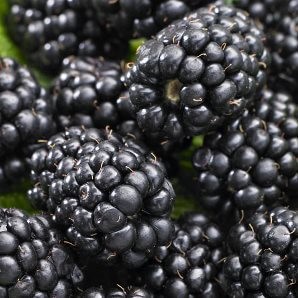 Микоплазменная пневмония Микоплазменная пневмония