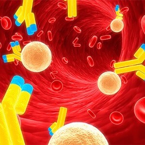 Микоплазменная пневмония Микоплазменная пневмония
