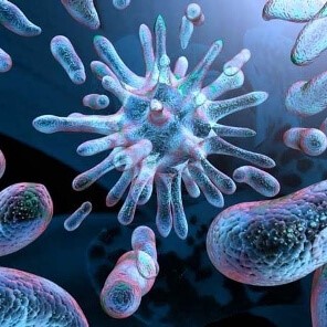 Микоплазменная пневмония Микоплазменная пневмония