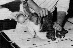 Хронический запор Хронический запор