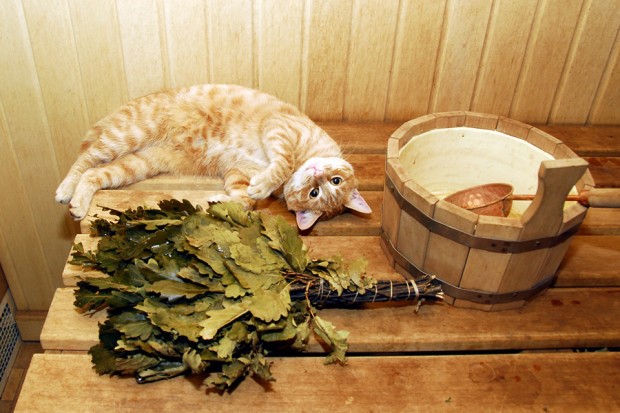 Совместимы ли баня и остеохондроз? Совместимы ли баня и остеохондроз?