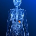 МРТ кишечника: преимущества и недостатки МРТ кишечника: преимущества и недостатки