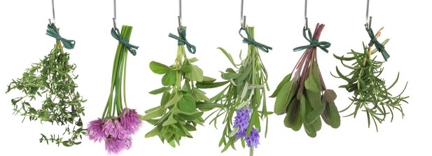 Чем лучше всего лечить аритмию сердца Чем лучше всего лечить аритмию сердца