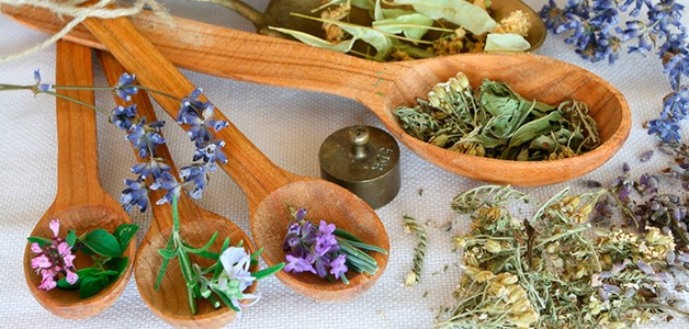 Методы избавления от паразитов в организме человека Методы избавления от паразитов в организме человека