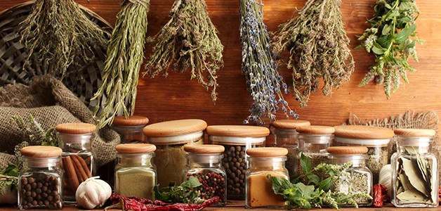 Методы избавления от паразитов в организме человека Методы избавления от паразитов в организме человека