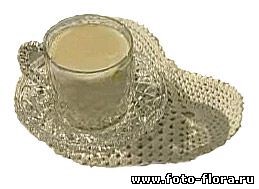 Лечим простуженное горло Лечим простуженное горло