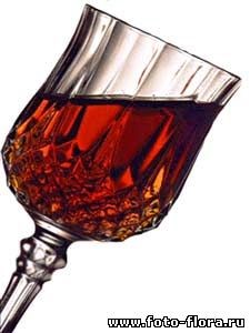 Лечим простуженное горло Лечим простуженное горло