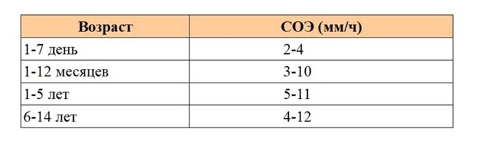 Нейтрофилы: понижены, повышены в крови, норма, у детей Нейтрофилы: понижены, повышены в крови, норма, у детей