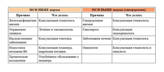 Нейтрофилы: понижены, повышены в крови, норма, у детей Нейтрофилы: понижены, повышены в крови, норма, у детей