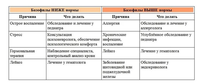 Нейтрофилы: понижены, повышены в крови, норма, у детей Нейтрофилы: понижены, повышены в крови, норма, у детей