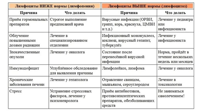 Нейтрофилы: понижены, повышены в крови, норма, у детей Нейтрофилы: понижены, повышены в крови, норма, у детей