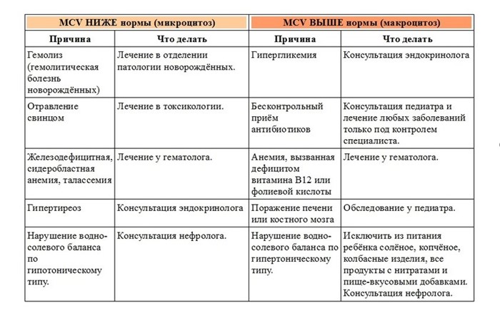 Нейтрофилы: понижены, повышены в крови, норма, у детей Нейтрофилы: понижены, повышены в крови, норма, у детей