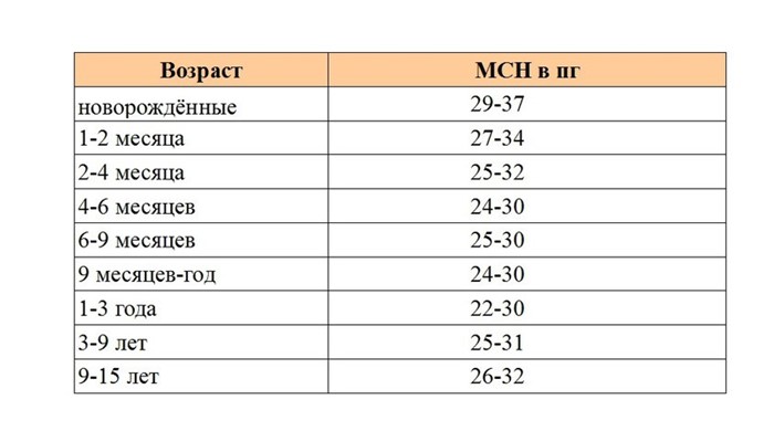 Нейтрофилы: понижены, повышены в крови, норма, у детей Нейтрофилы: понижены, повышены в крови, норма, у детей