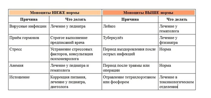Нейтрофилы: понижены, повышены в крови, норма, у детей Нейтрофилы: понижены, повышены в крови, норма, у детей