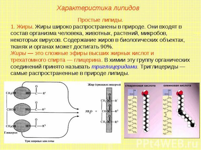 Нормальные показатели нормы сахара и холестерина в крови Нормальные показатели нормы сахара и холестерина в крови