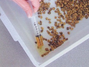 Оценка показателей общего анализа мочи Оценка показателей общего анализа мочи