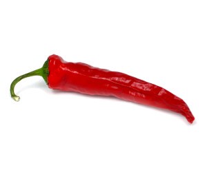 Можно ли избавиться от тромбов? Можно ли избавиться от тромбов?