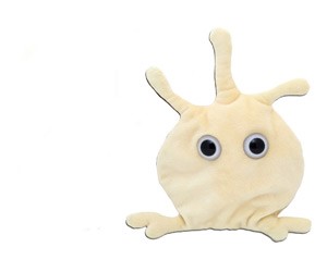 Можно ли избавиться от тромбов? Можно ли избавиться от тромбов?