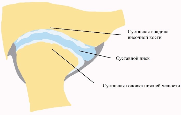 Остеоартроз височно-нижнечелюстного сустава: лечение ВНЧС Остеоартроз височно-нижнечелюстного сустава: лечение ВНЧС