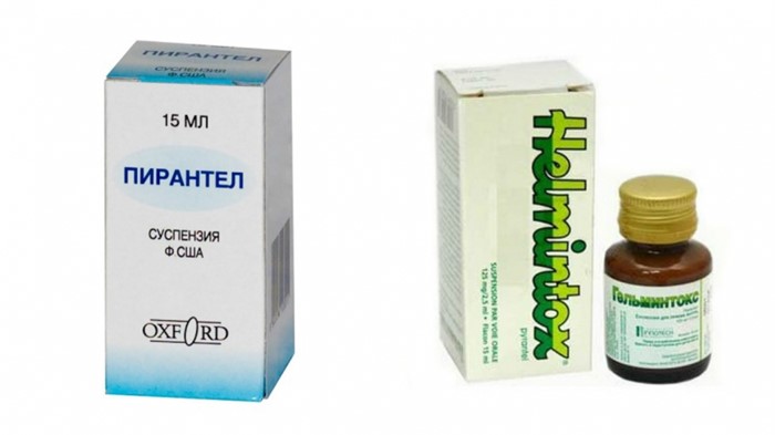 Какие симптомы и как лечить глистов у детей? Какие симптомы и как лечить глистов у детей?