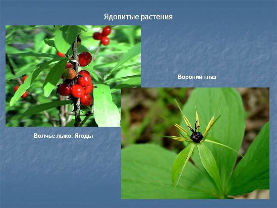 Диагностика, лечение и профилактика гастроэнтероколита Диагностика, лечение и профилактика гастроэнтероколита