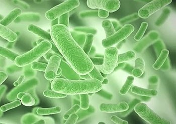 Коварное заболевание пневмония: как диагностировать и чем лечить болезнь у взрослых Коварное заболевание пневмония: как диагностировать и чем лечить болезнь у взрослых