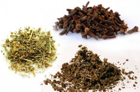 Рецепты с полынью от глистов Рецепты с полынью от глистов