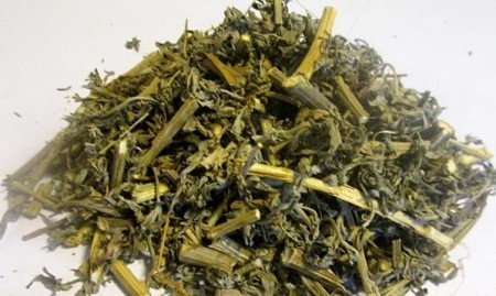 Рецепты с полынью от глистов Рецепты с полынью от глистов