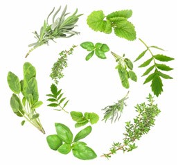 Какими методами удаляют полипы в кишечнике? Какими методами удаляют полипы в кишечнике?