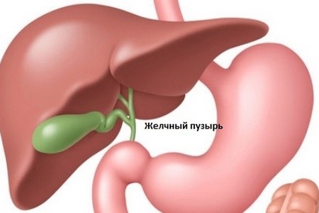 Жидкий стул цвет Жидкий стул цвет