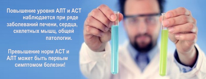 Анализ крови на АСТ и что значит, если этот показатель повышен Анализ крови на АСТ и что значит, если этот показатель повышен