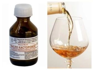 Применение касторки для очищения кишечника Применение касторки для очищения кишечника