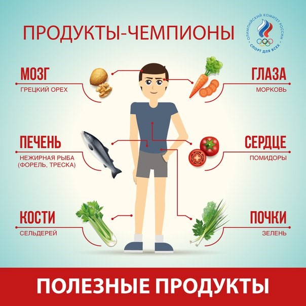 Какие продукты полезны для печени и поджелудочной железы? Какие продукты полезны для печени и поджелудочной железы?