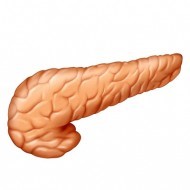 Прогноз при раке поджелудочной в зависимости от стадии Прогноз при раке поджелудочной в зависимости от стадии