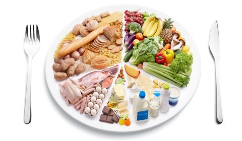 Анатомическое строение, болезни и лечение сигмовидной кишки Анатомическое строение, болезни и лечение сигмовидной кишки