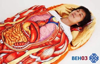 Строение и расположение печени в организме человека Строение и расположение печени в организме человека