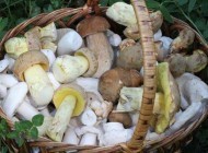 Реабилитация после инфаркта: жизнь, питание, диета, инвалидность, работа... Реабилитация после инфаркта: жизнь, питание, диета, инвалидность, работа...