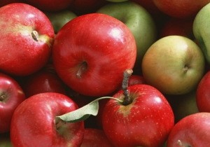 Реабилитация после инфаркта: жизнь, питание, диета, инвалидность, работа... Реабилитация после инфаркта: жизнь, питание, диета, инвалидность, работа...