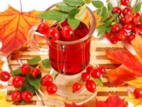 Полная характеристика ревматоидного артрита у детей: причины, симптомы, лечение Полная характеристика ревматоидного артрита у детей: причины, симптомы, лечение