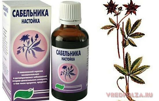 Сабельник: полезные свойства и противопоказания к применению для суставов Сабельник: полезные свойства и противопоказания к применению для суставов