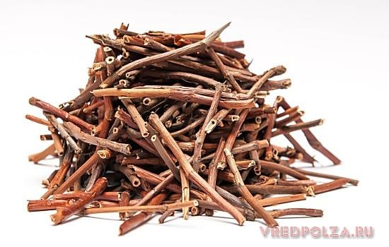 Сабельник: полезные свойства и противопоказания к применению для суставов Сабельник: полезные свойства и противопоказания к применению для суставов